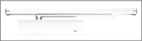 Alb